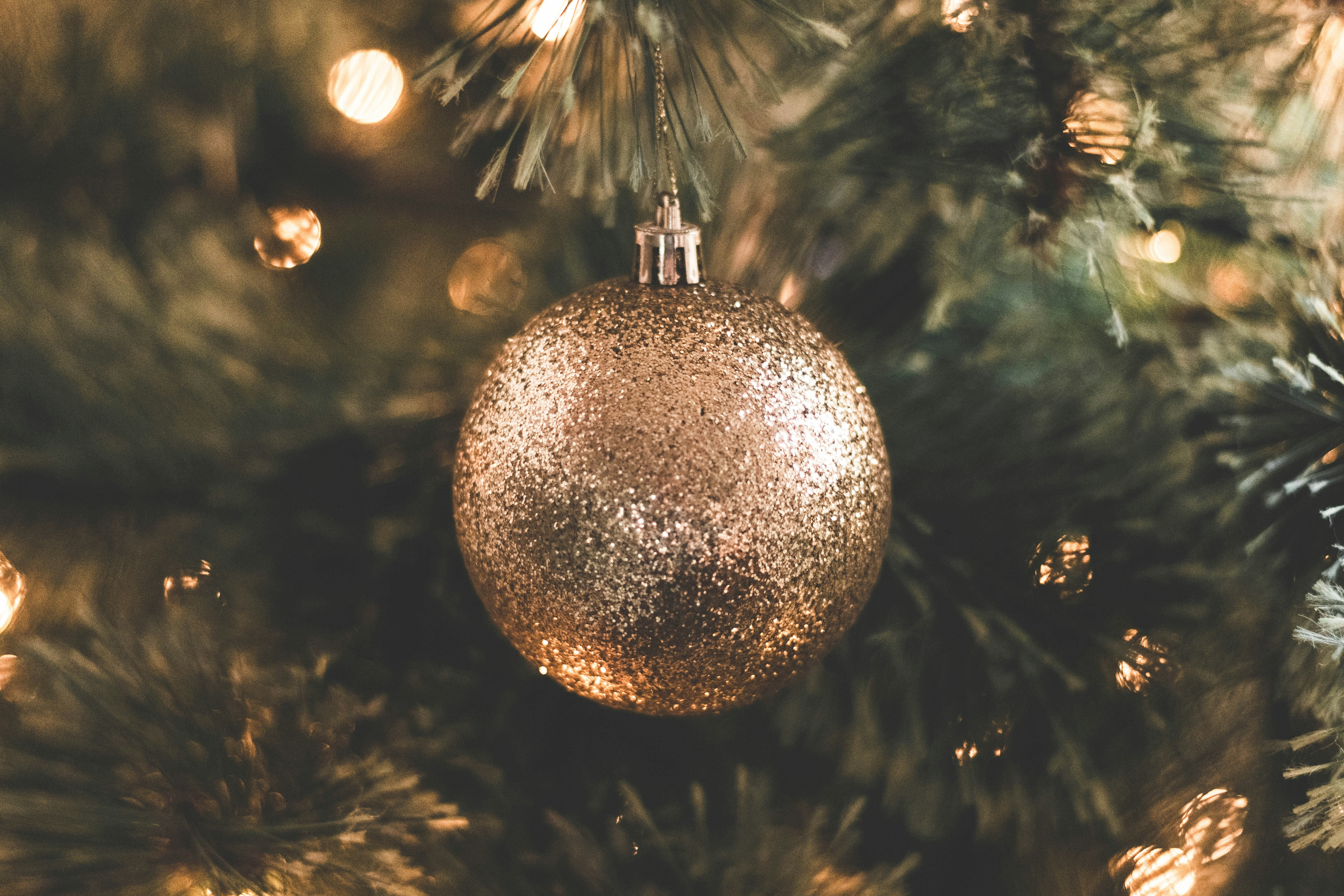 Photo by fraynavarro