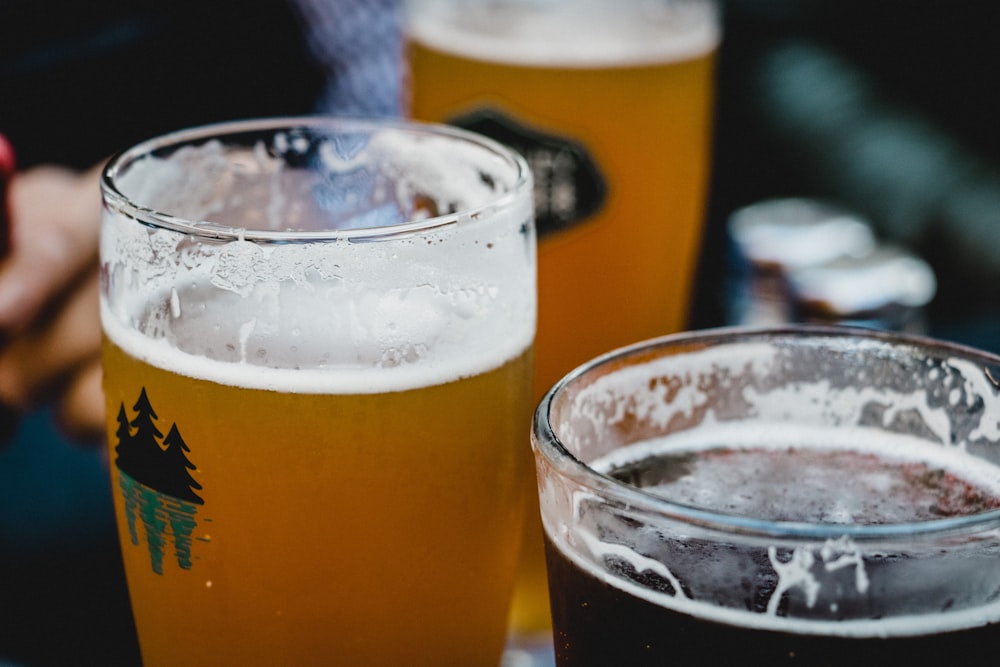 three pilsner glasses filled with beer