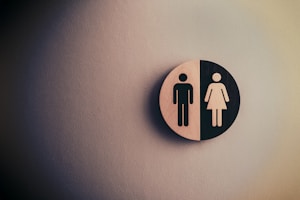 The manosphere's strategic influence on policy development represents a systematic