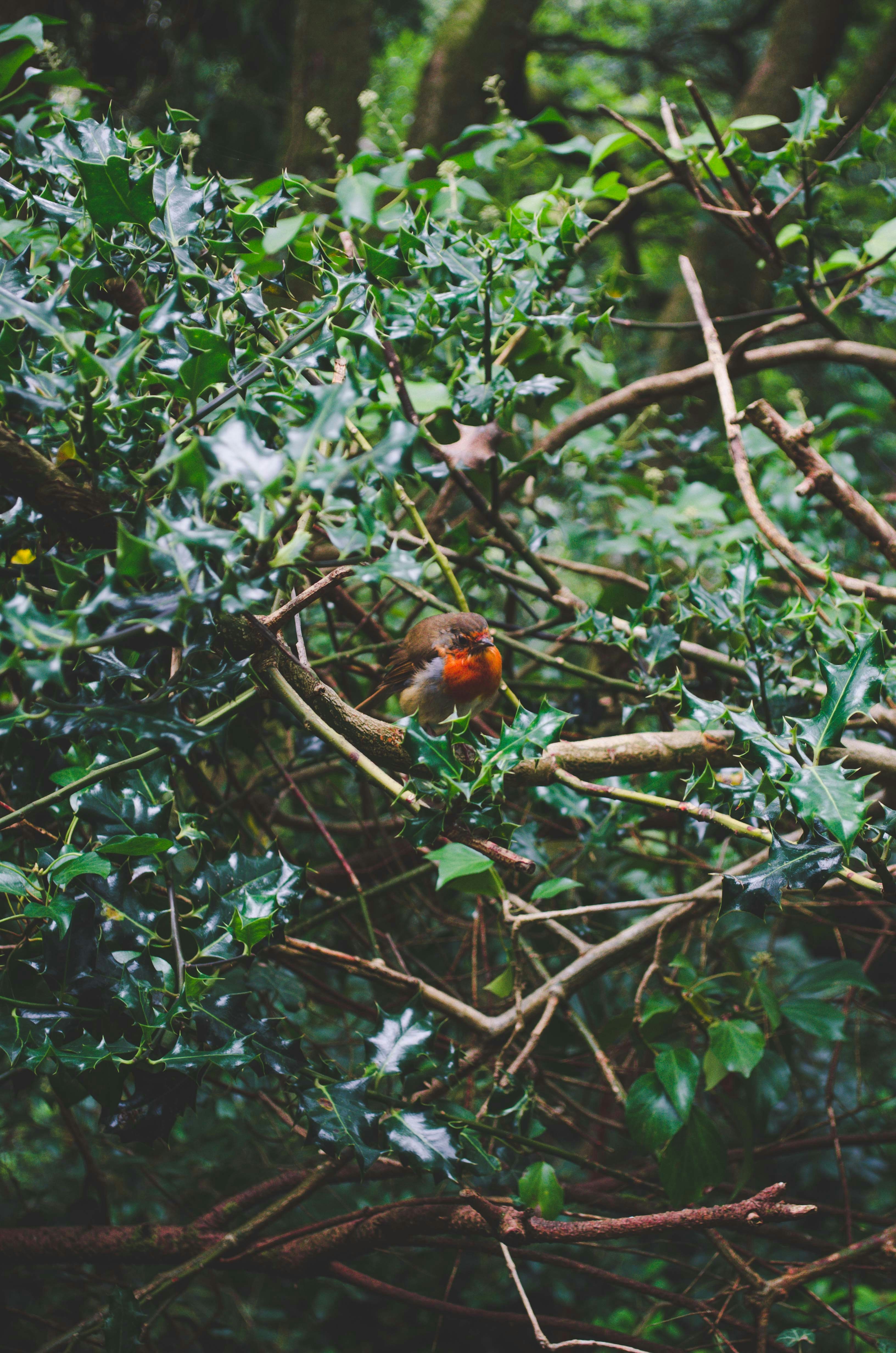 Photo by anetakpawlik