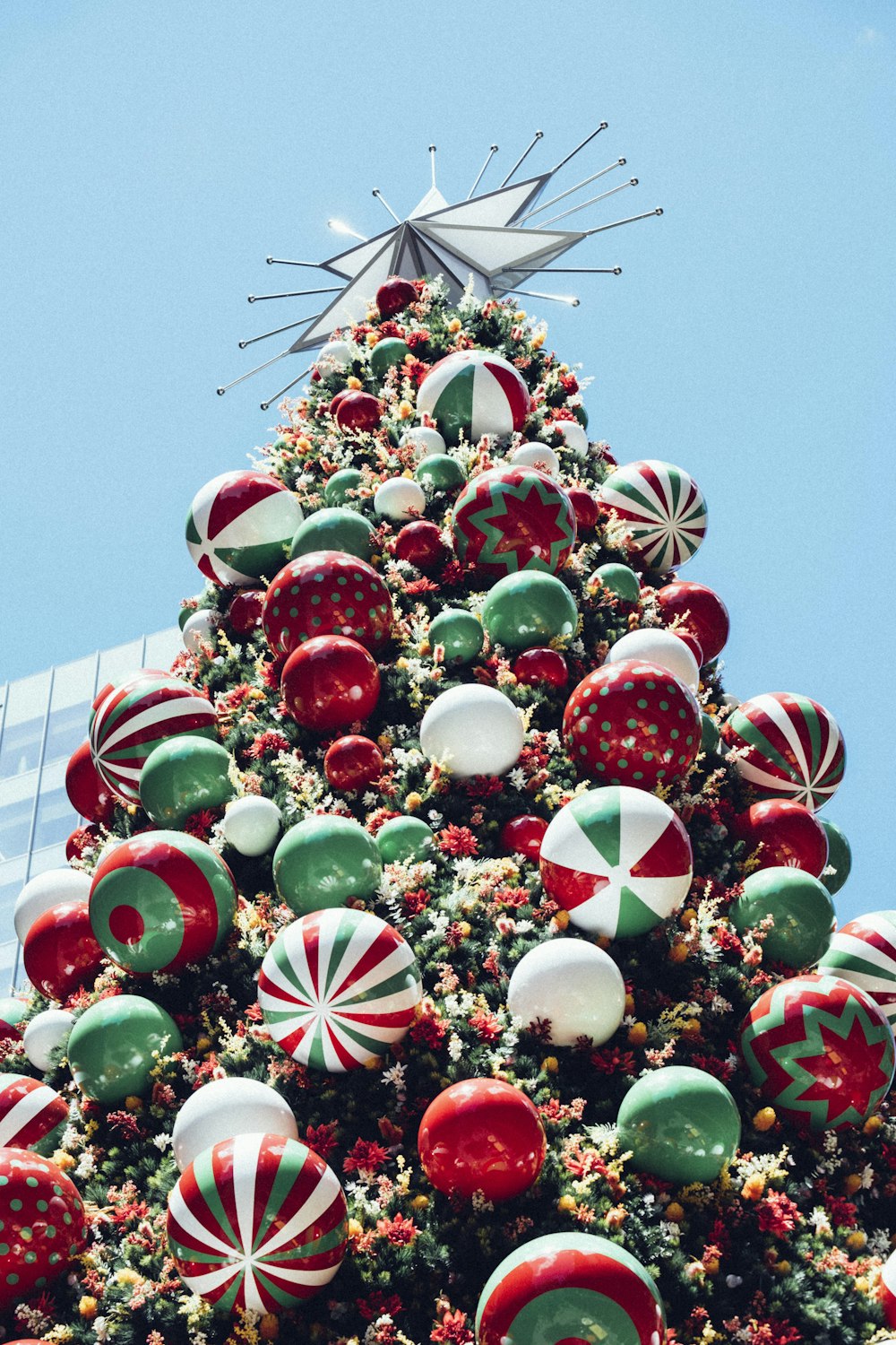 red, white, and green Christmas tree under blue sky