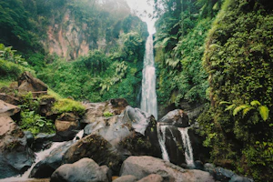 A cascading waterfall surrounded by dense forest, capturing the serene wilderness of Jharkhand.