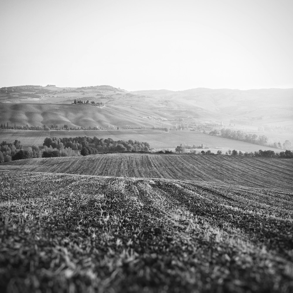 foto in scala di grigi di terra