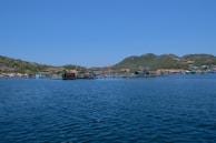 A serene coastal landscape featuring a sprawling fish farm on a calm blue sea. Hills with sparse vegetation rise in the background under a clear blue sky. The fish enclosures consist of various floating structures in the water.