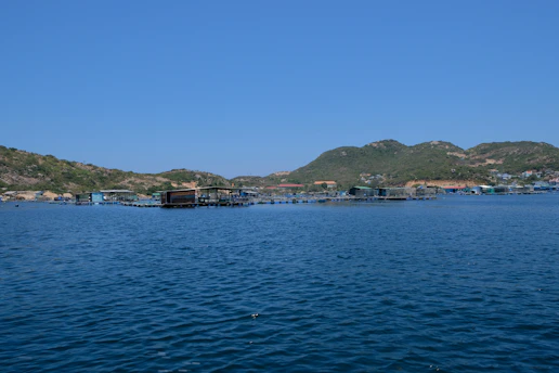 A serene aquaculture farm with clear water and healthy fish swimming beneath the surface.