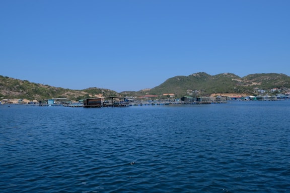 A serene coastal landscape featuring a sprawling fish farm on a calm blue sea. Hills with sparse vegetation rise in the background under a clear blue sky. The fish enclosures consist of various floating structures in the water.