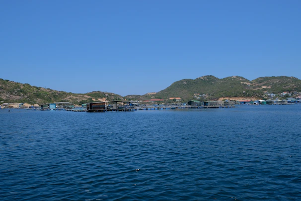 A serene coastal fishing area with AI monitoring devices discreetly placed on buoys.
