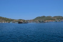 A serene coastal landscape featuring a sprawling fish farm on a calm blue sea. Hills with sparse vegetation rise in the background under a clear blue sky. The fish enclosures consist of various floating structures in the water.
