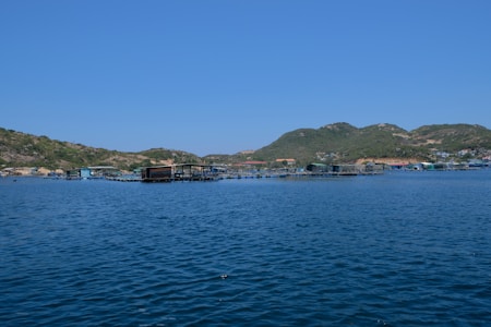 A serene coastal landscape featuring a sprawling fish farm on a calm blue sea. Hills with sparse vegetation rise in the background under a clear blue sky. The fish enclosures consist of various floating structures in the water.