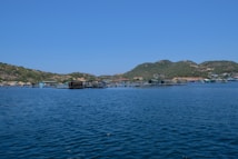 A serene coastal landscape featuring a sprawling fish farm on a calm blue sea. Hills with sparse vegetation rise in the background under a clear blue sky. The fish enclosures consist of various floating structures in the water.