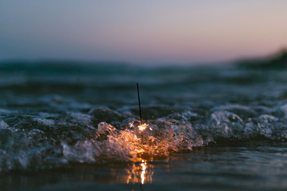 lighted light bulb on shore