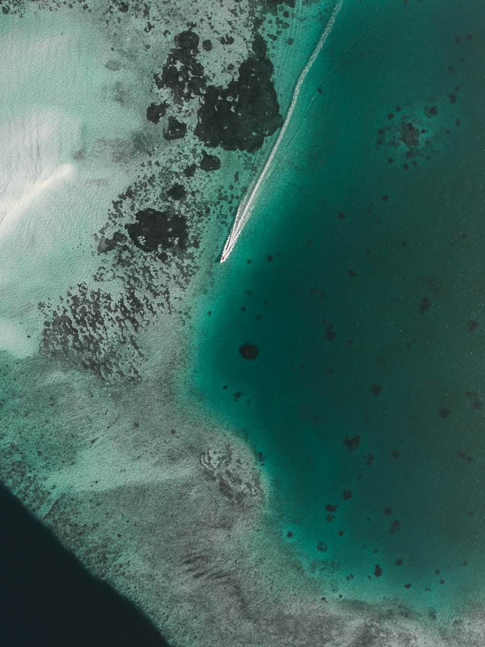 Boot, das weiße Propellerwäsche in klarer grüner Meeresoberfläche hinterlässt