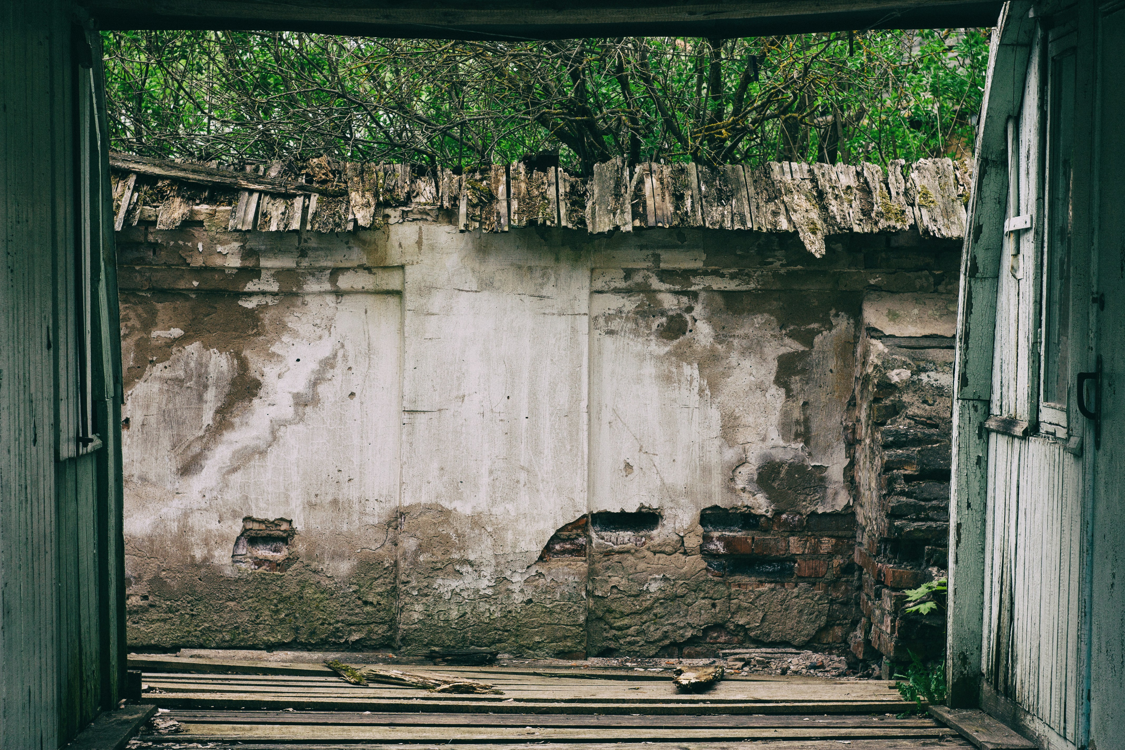 Photo by evgenydzhumaev