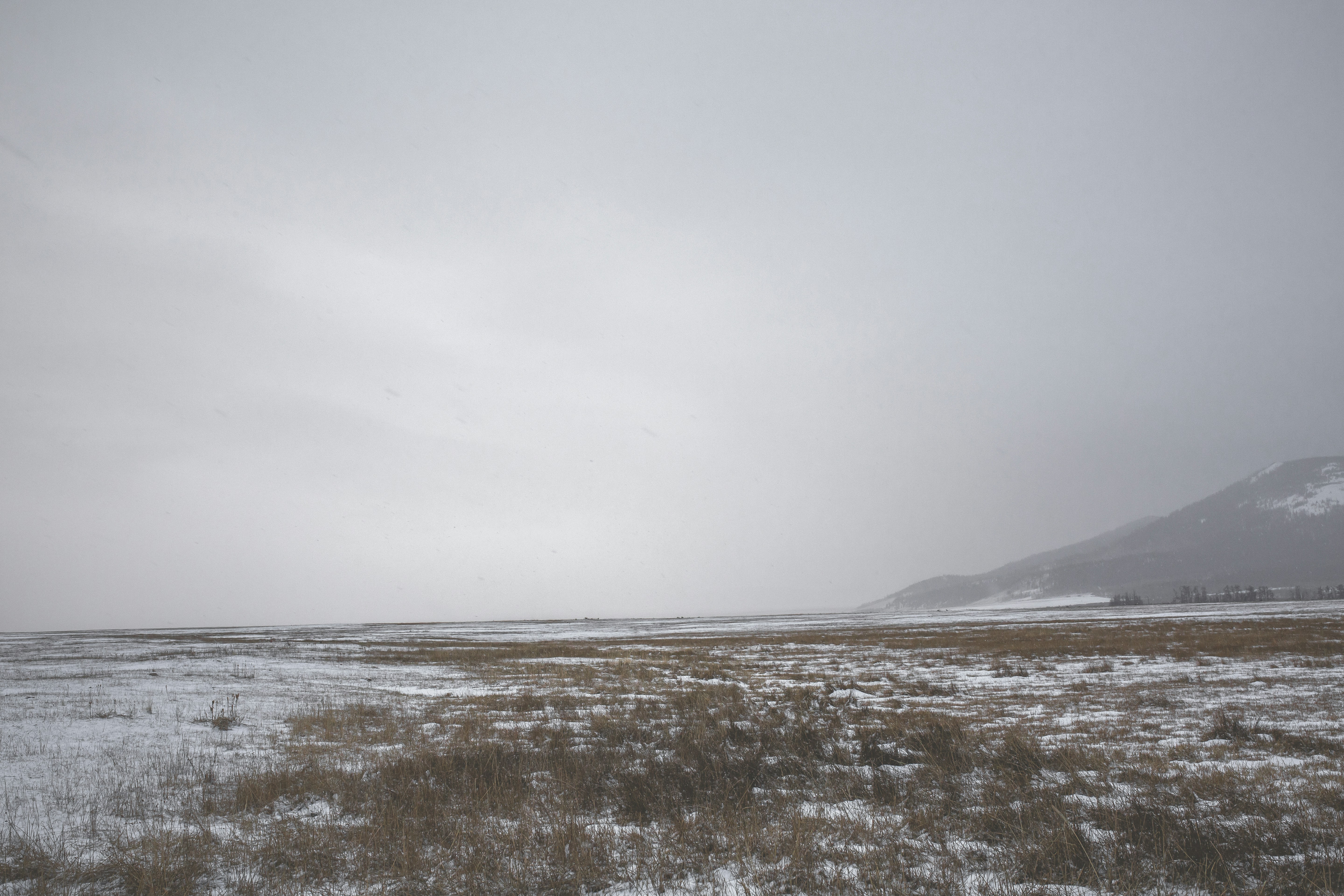 Photo by theoneofussocialclub