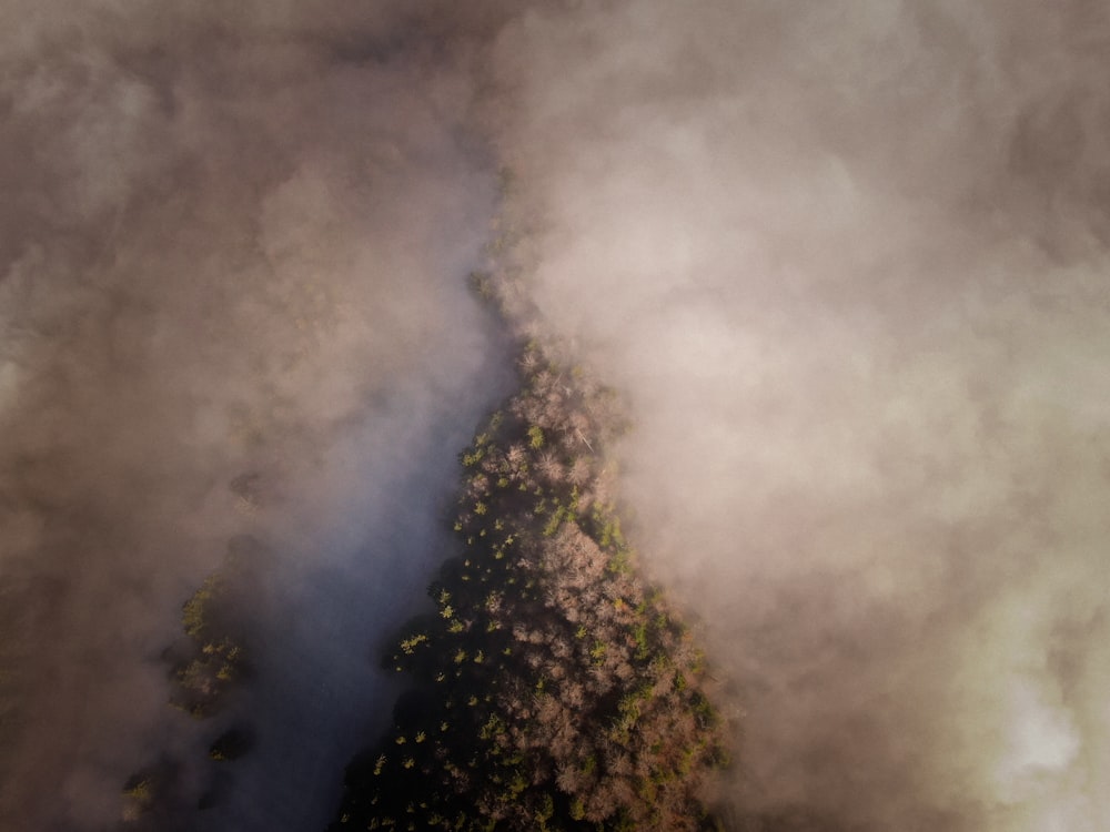 an aerial view of a forest in the clouds