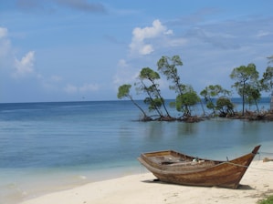 brown wooden jon boat on seashore