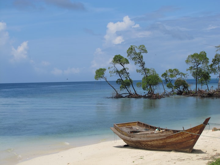 Unlock the Beauty of Andaman with Exciting Andaman Tour Packages