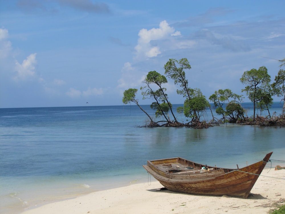 brown wooden jon boat on seashore