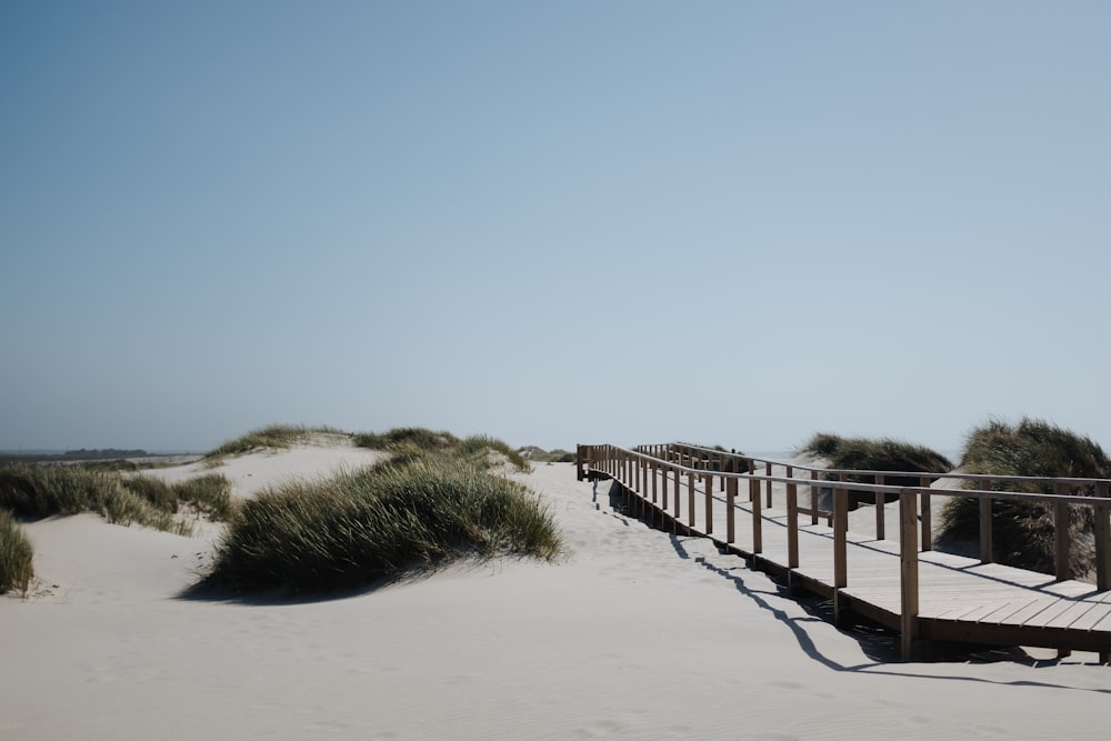 brown wooden pathway in middle of desert during daytime