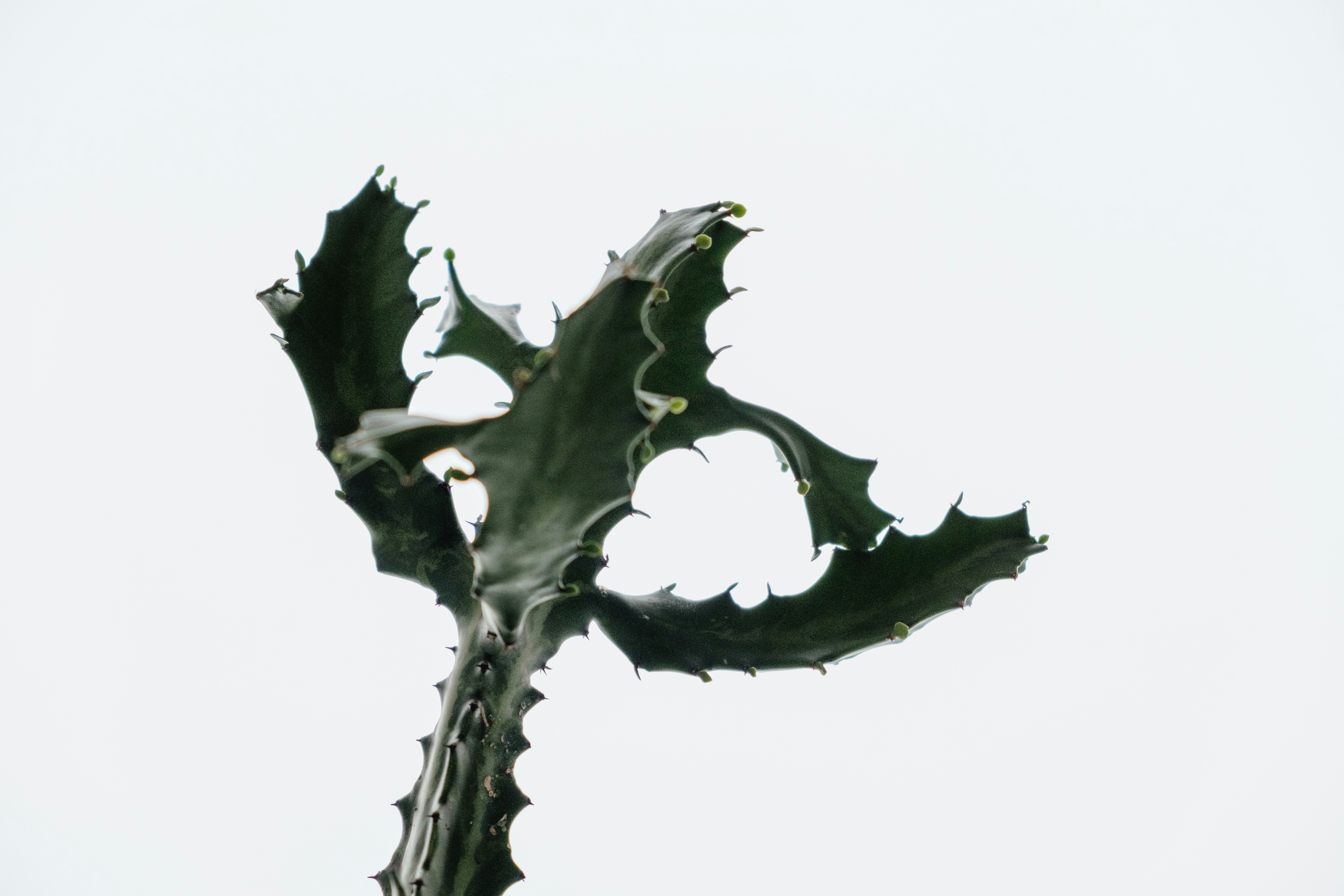 Photo by grundsteins