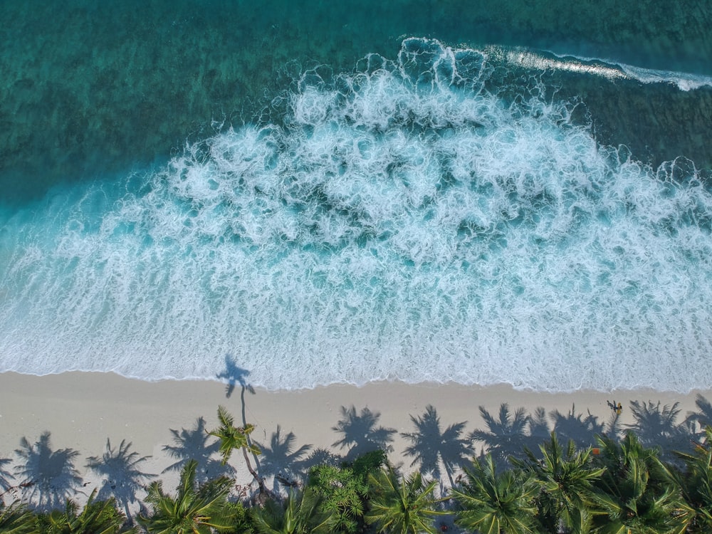 aerial beach seashore waves