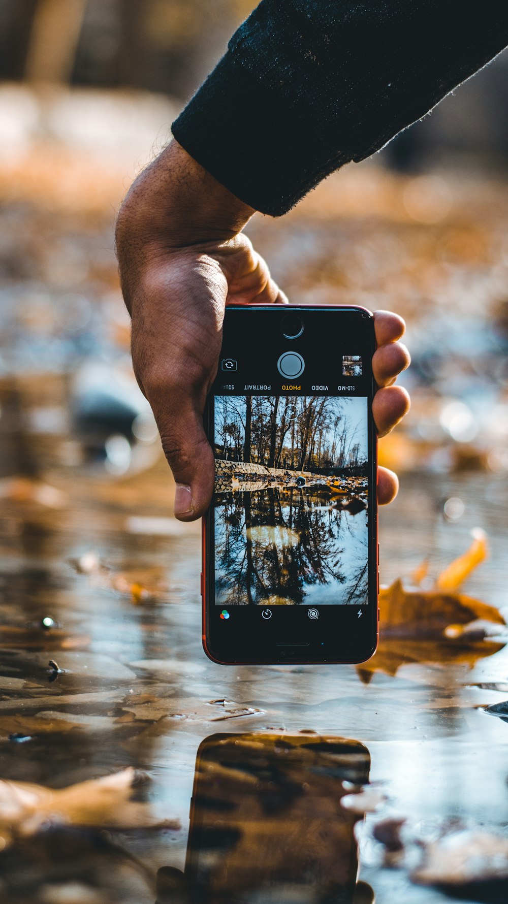 person holding iPhone