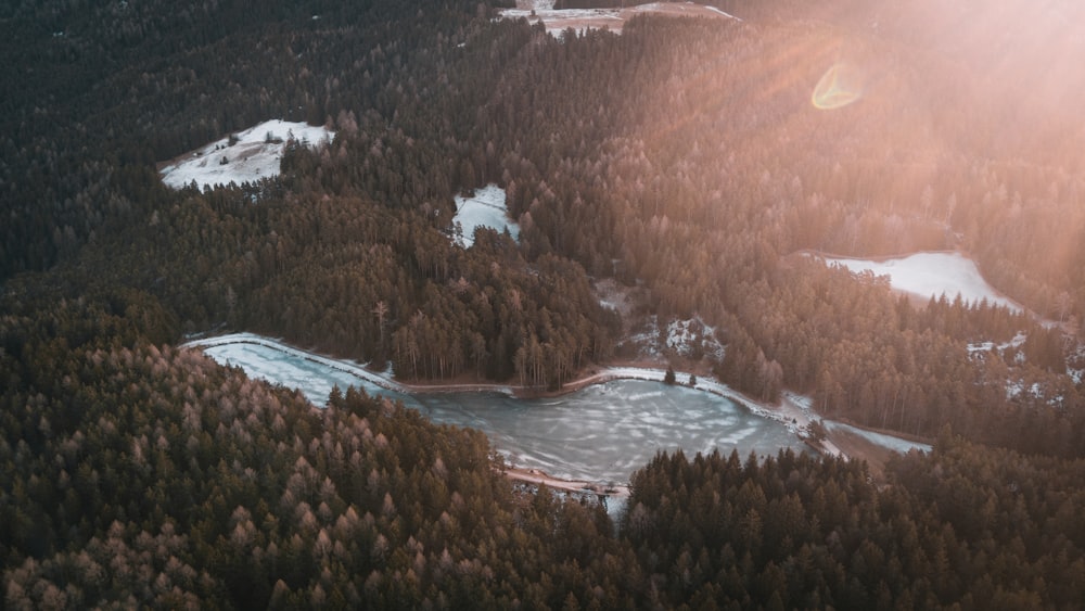 birds eye photography of body of water near forest