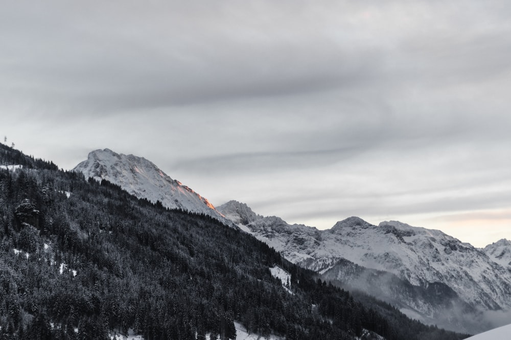 snow-capped mountains and trees during daytime