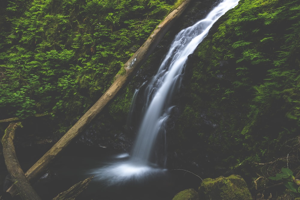 waterfalls raging on mountain