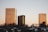Three tall buildings with reflective glass facades are set against a clear sky during sunset. Each building has the name of a company on its top. There is a line of parked cars in the foreground, and a few trees around the parking lot area.