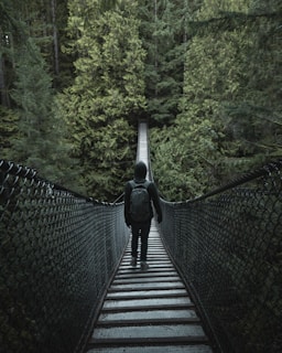 person walking on hanging bridge during daytime
