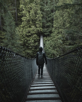 person walking on hanging bridge during daytime