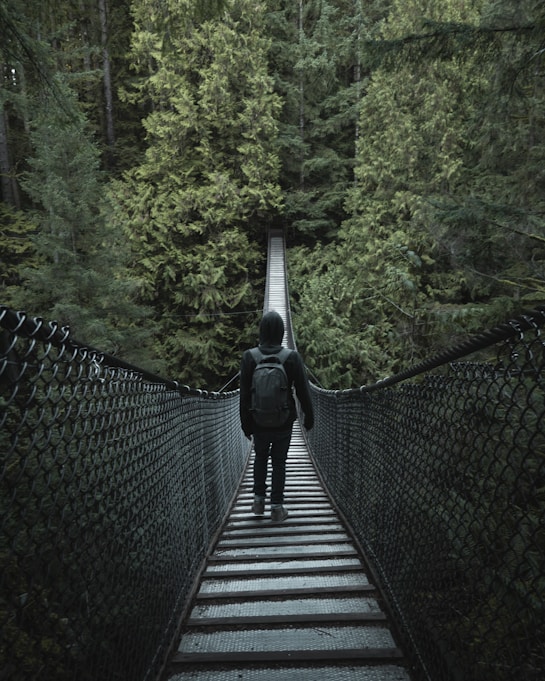 person walking on hanging bridge during daytime