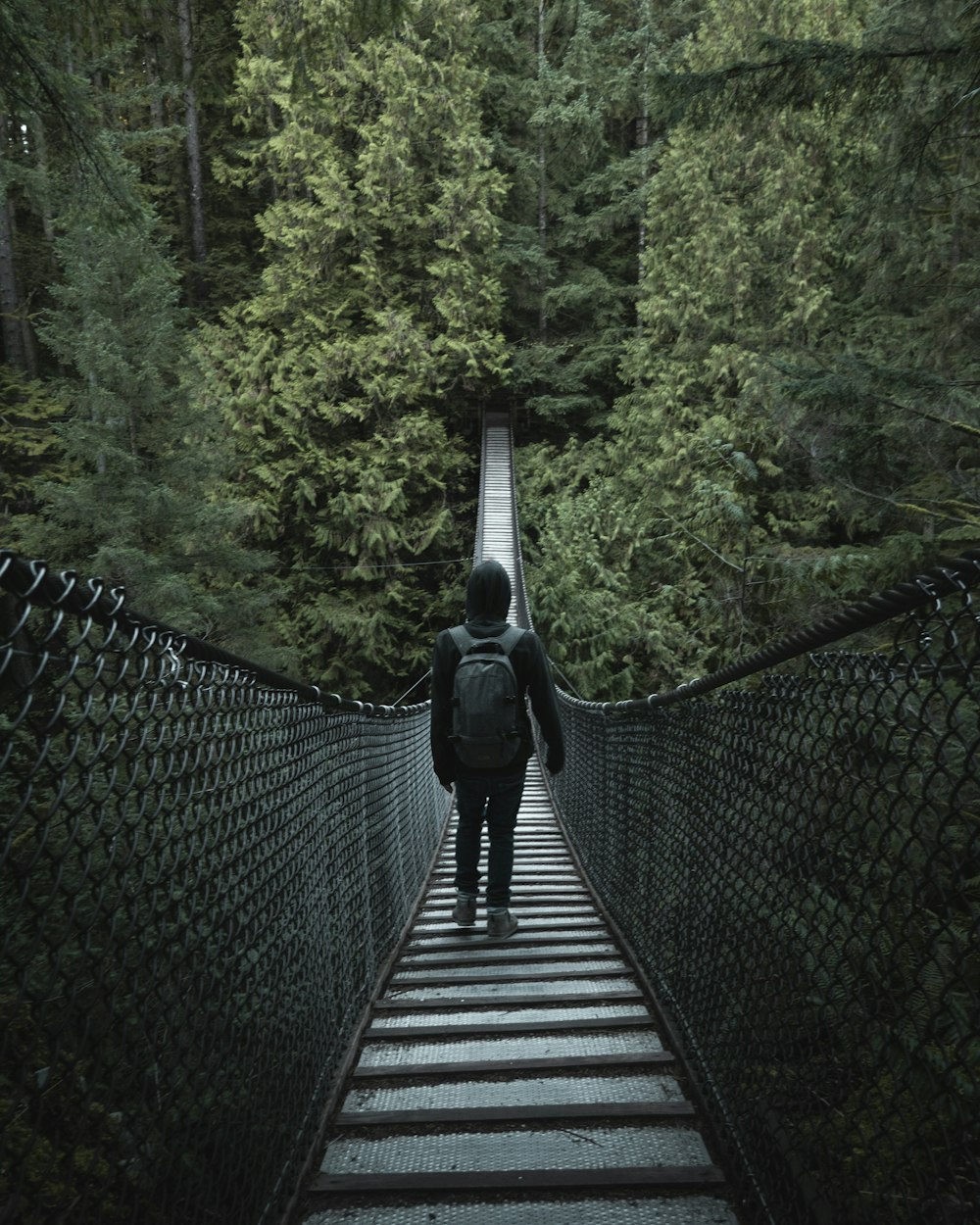 person walking on hanging bridge during daytime