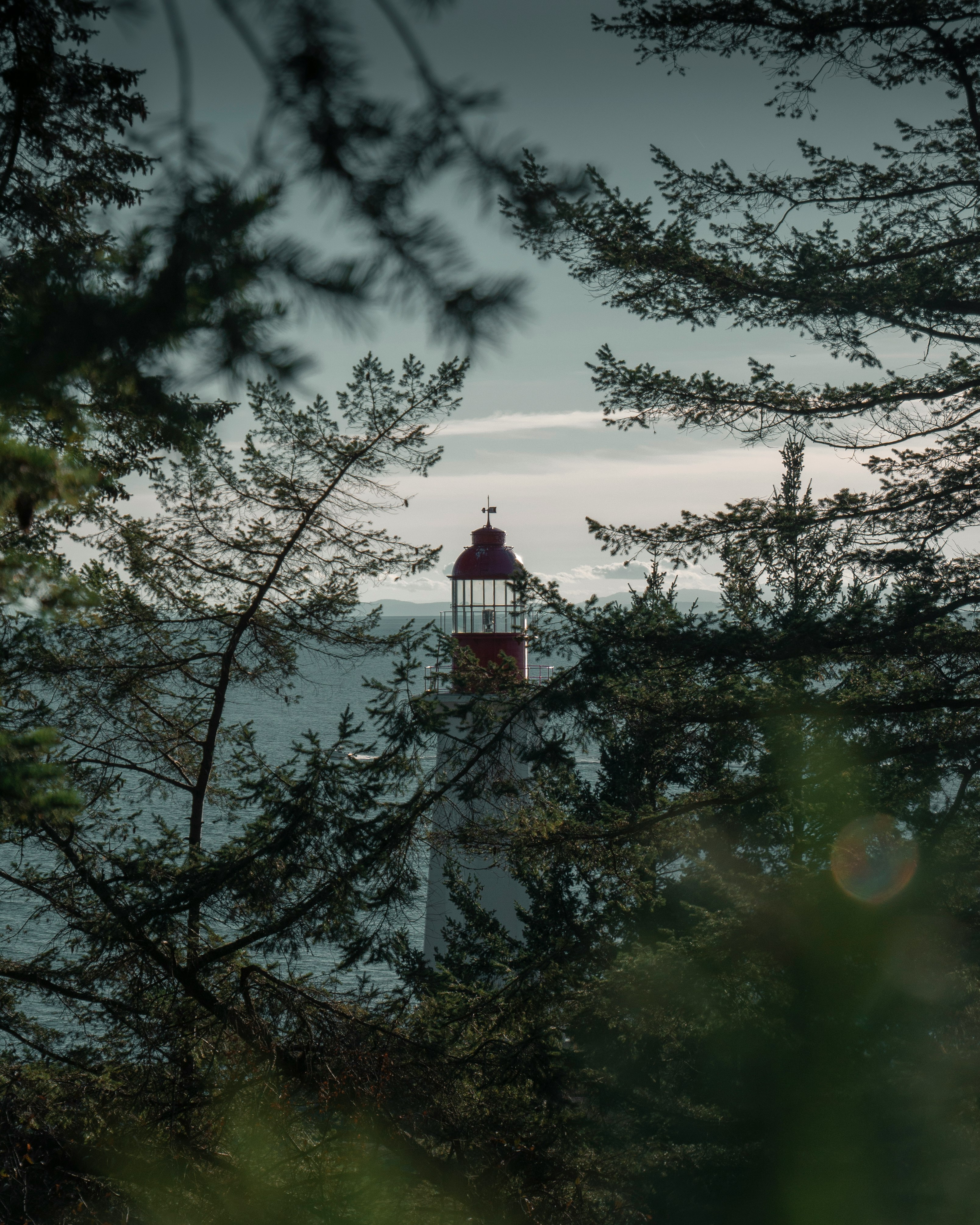 white and red lighthouse near trees