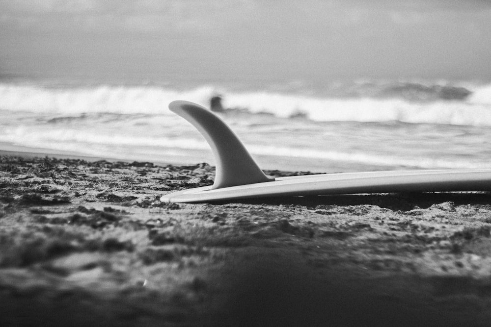 white surfboard on seashore