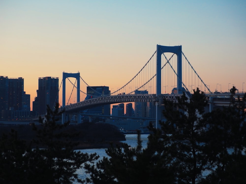 木々と街の近くの白く塗られた橋