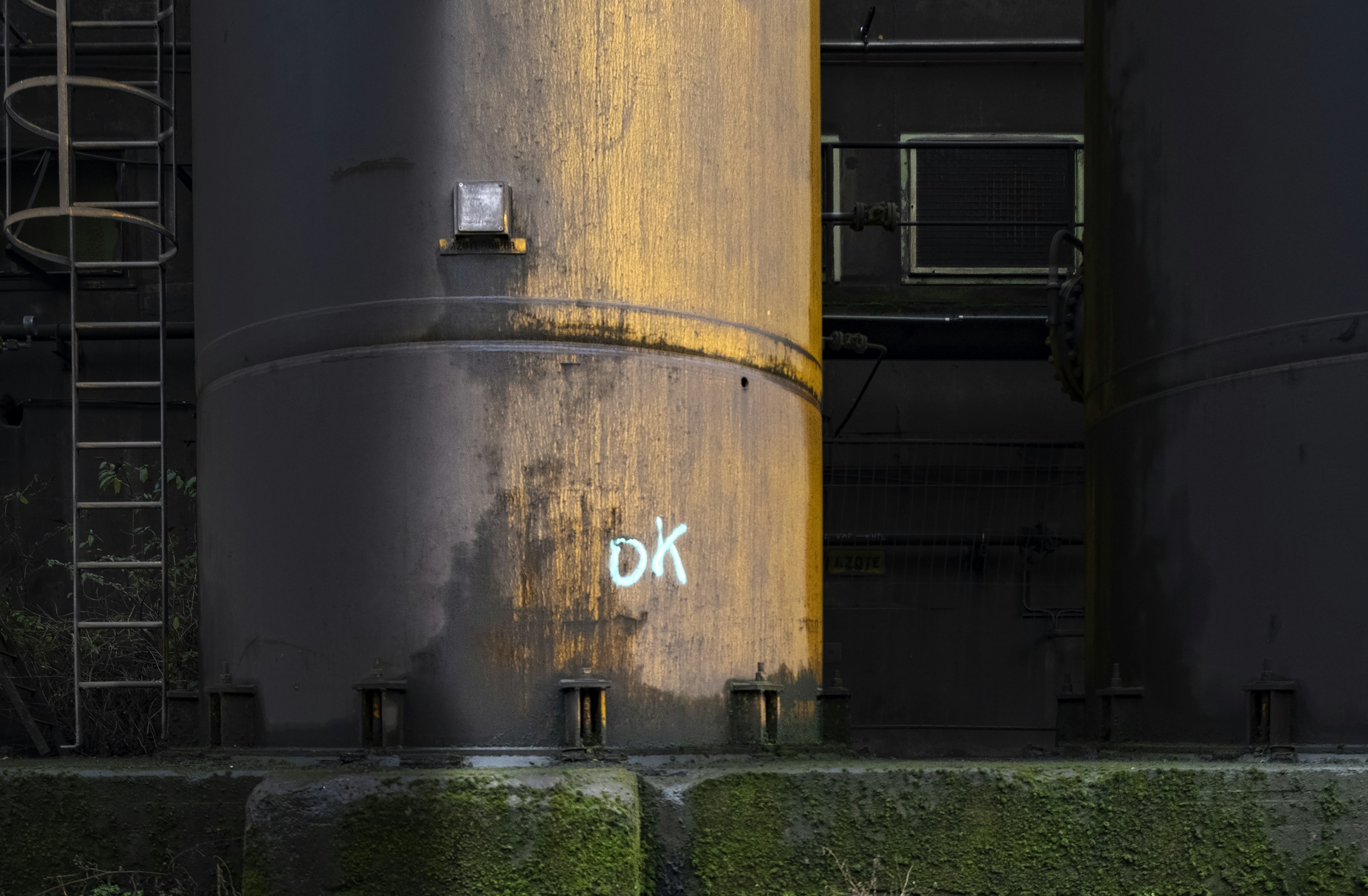 photo-1545807395-5fc55adcd27f?ixid=M3wxMjA3fDB8MXxzZWFyY2h8Mnx8NGszbmlpNnxlbnwwfHx8fDE3NjE1NTg4OTJ8MA\u0026ixlib=rb-4.1.0