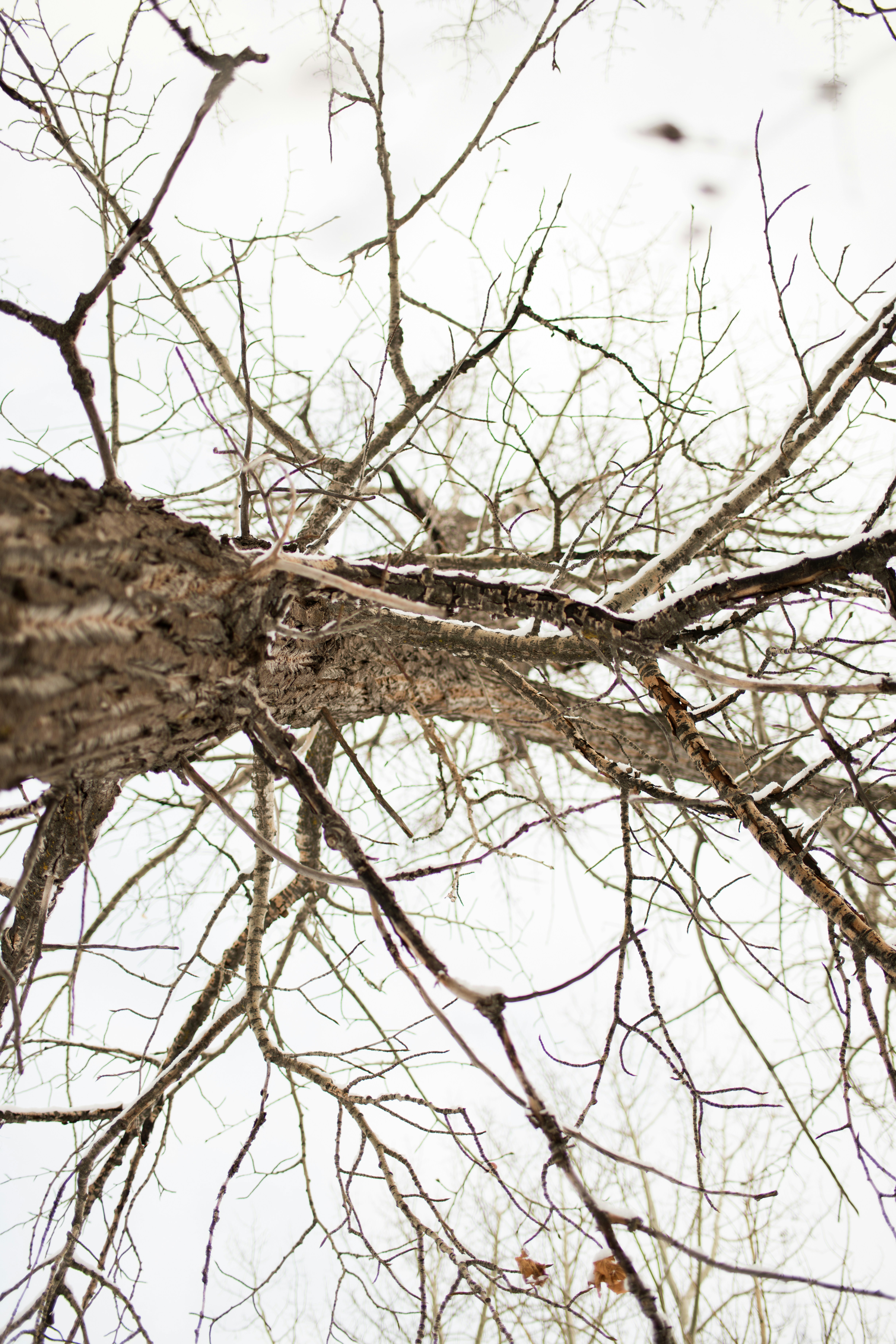 Photo by tarameinczinger