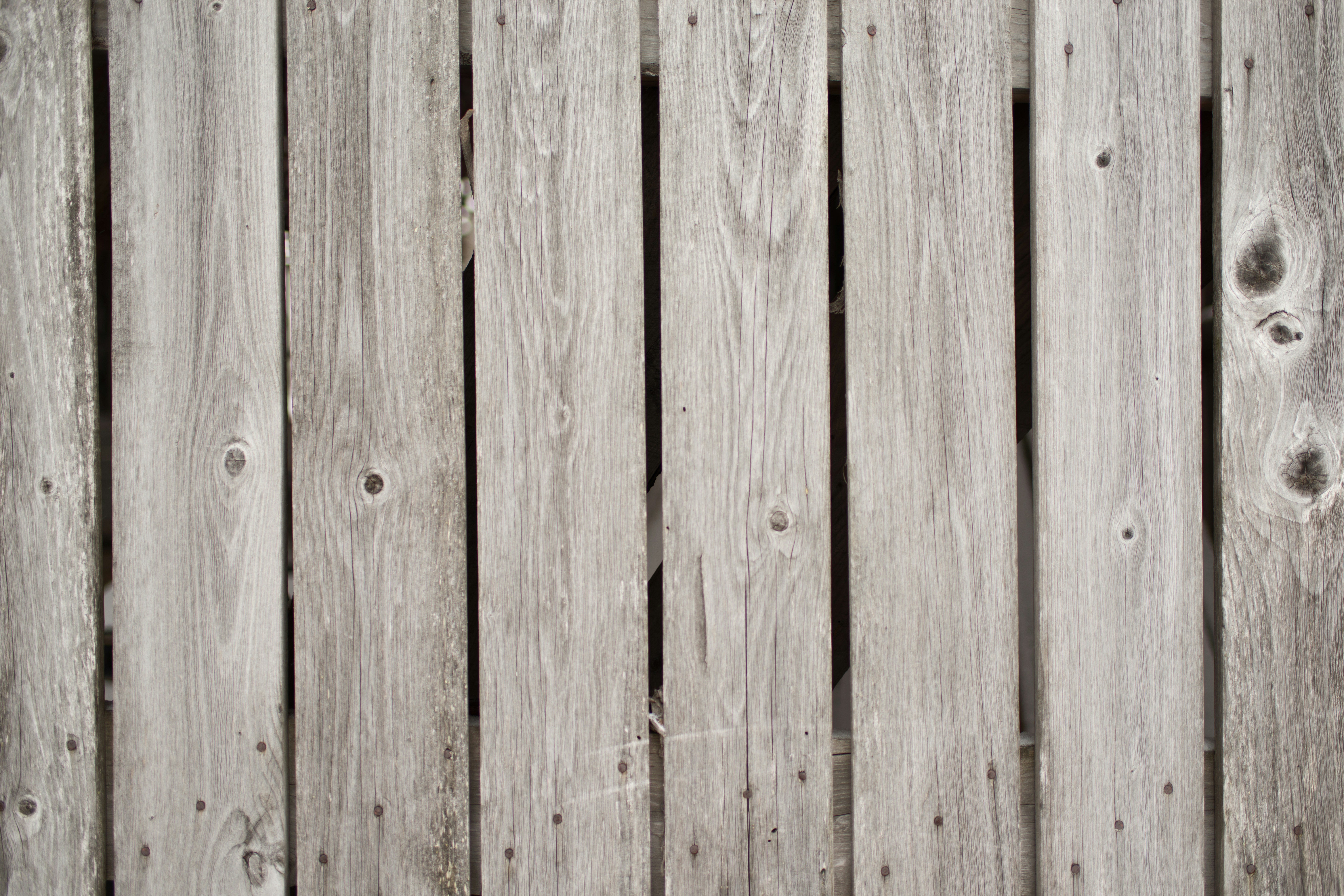 Photo by tarameinczinger