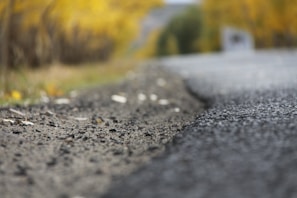 A close-up view of an asphalt road with a blurred background, likely lined with trees displaying autumn foliage in shades of yellow. The focus is on the road's texture, highlighting pebbles and small cracks.