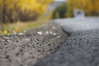 A close-up view of an asphalt road with a blurred background, likely lined with trees displaying autumn foliage in shades of yellow. The focus is on the road's texture, highlighting pebbles and small cracks.