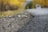A close-up view of an asphalt road with a blurred background, likely lined with trees displaying autumn foliage in shades of yellow. The focus is on the road's texture, highlighting pebbles and small cracks.