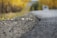 A close-up view of an asphalt road with a blurred background, likely lined with trees displaying autumn foliage in shades of yellow. The focus is on the road's texture, highlighting pebbles and small cracks.