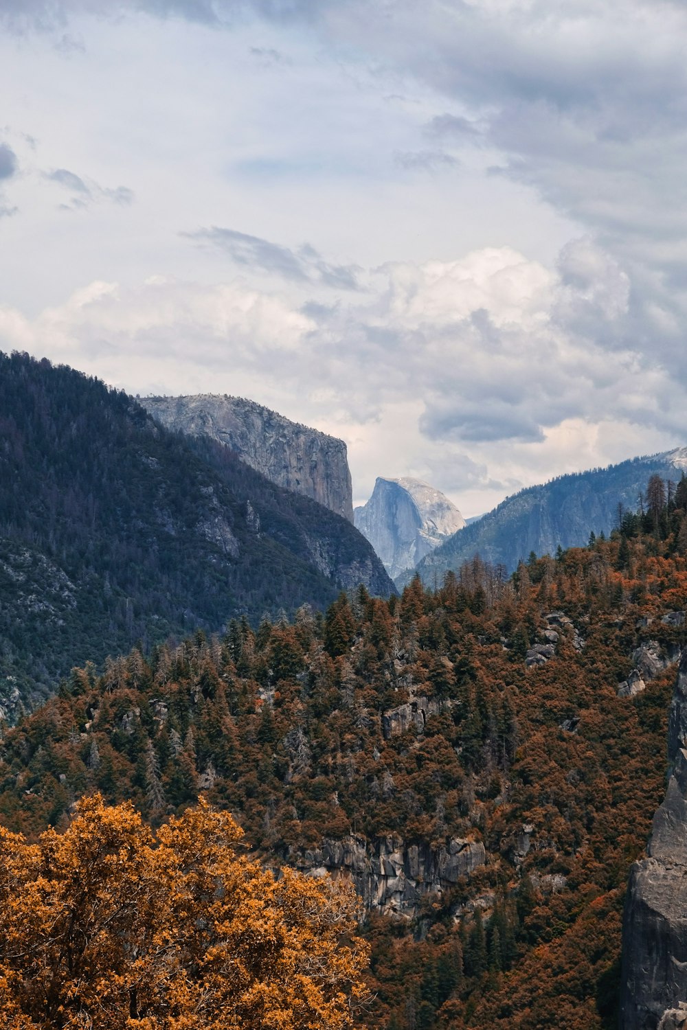 mountains covered with trees under gray clouds