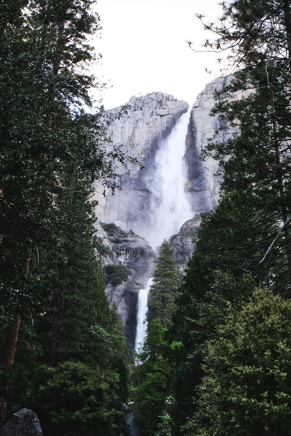 water falls near trees