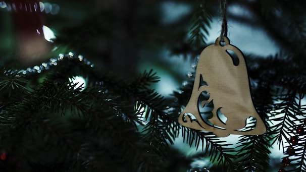 A beautifully crafted laser-cut wooden ornament.