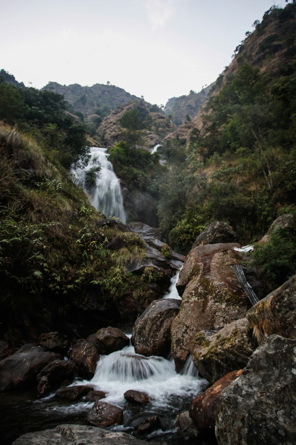 waterfalls surrounded with trees