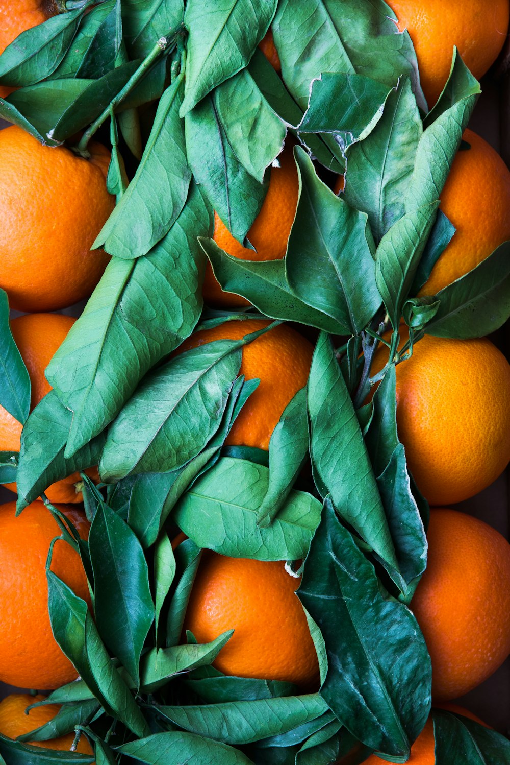 Haufen runder orangefarbener Früchte