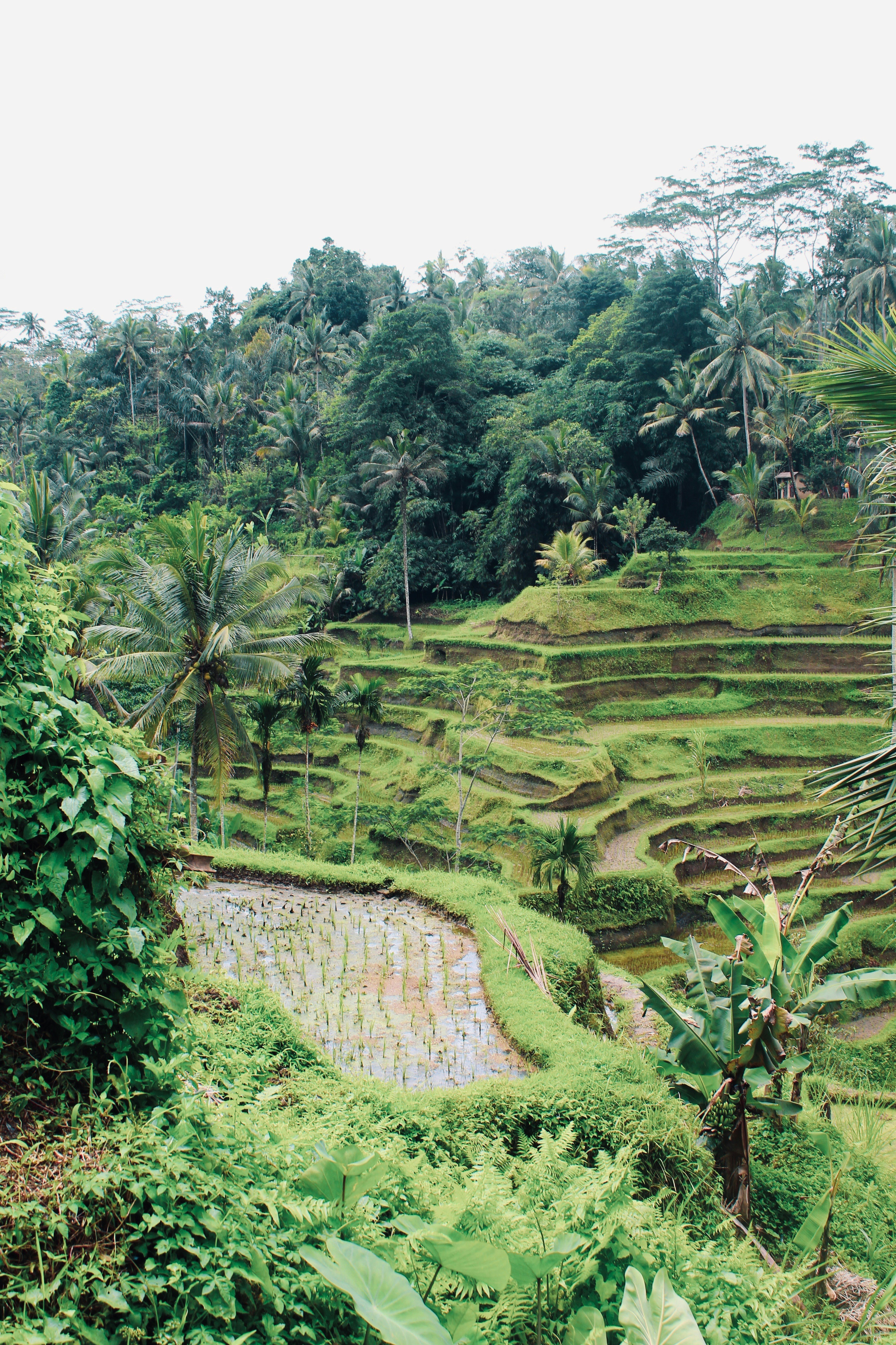 Photo by whoisdenilo